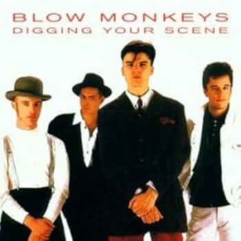 洋楽 The Blow Monkeys Digging Your Scene Digging Your Scene: The Best of The Blow Monkeys - Wikipedia
